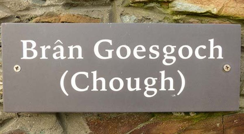 Photo of Bran Goesgoch