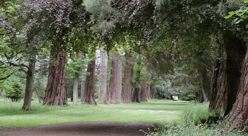 Photo of Housekeeper's Rooms