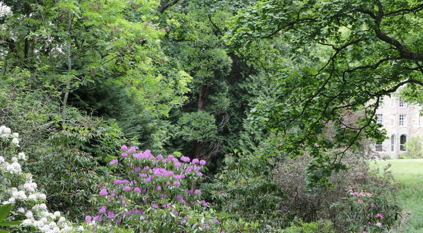 Photo of Housekeeper's Rooms