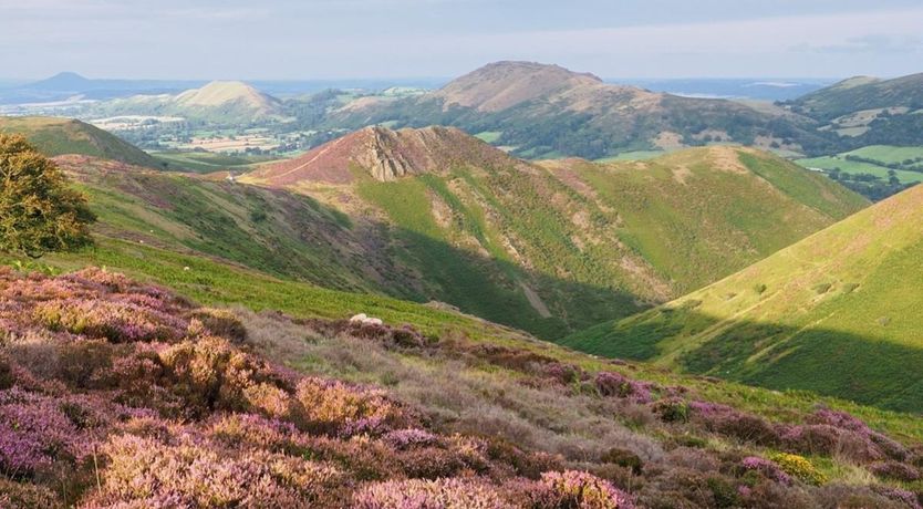 Photo of 1 Bed in Beguildy