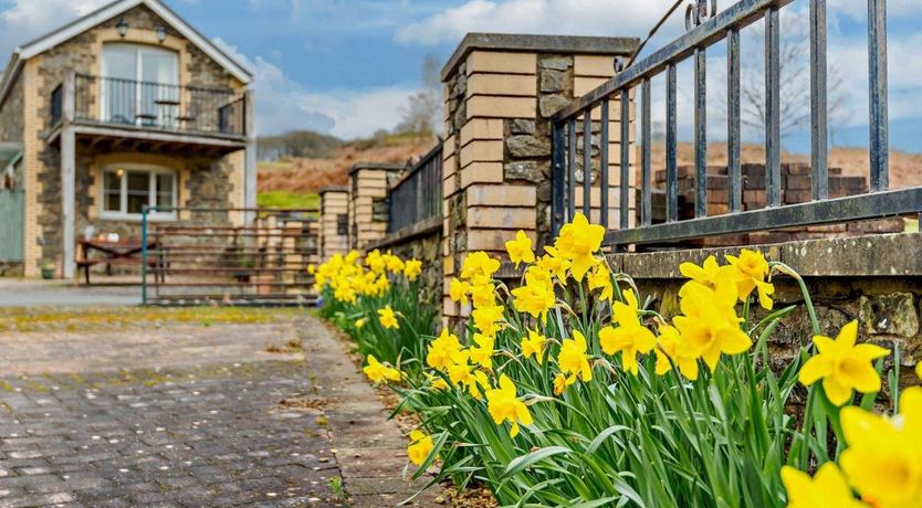 Photo of in Builth Wells  (52463)