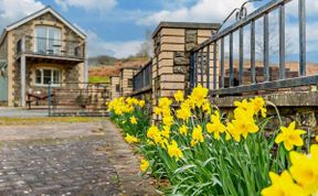 Photo of in Builth Wells  (52463)