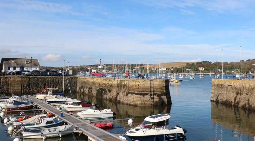 Photo of Little Chycoose