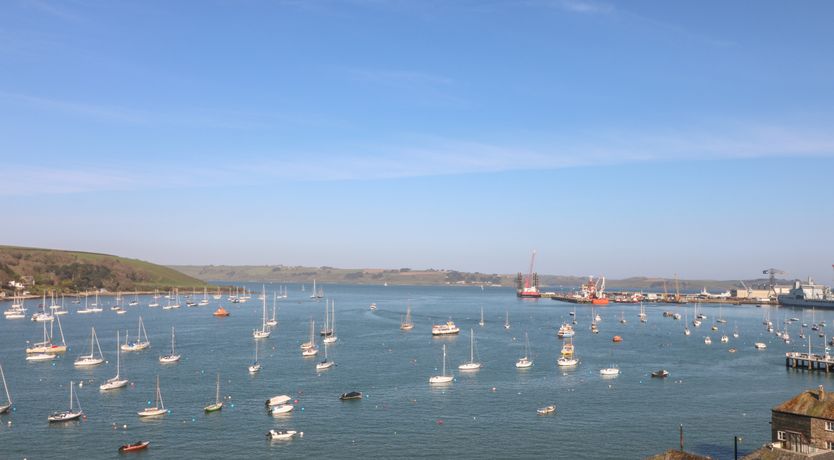 Photo of Little Chycoose