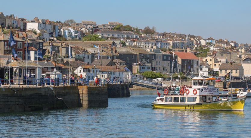 Photo of Little Chycoose