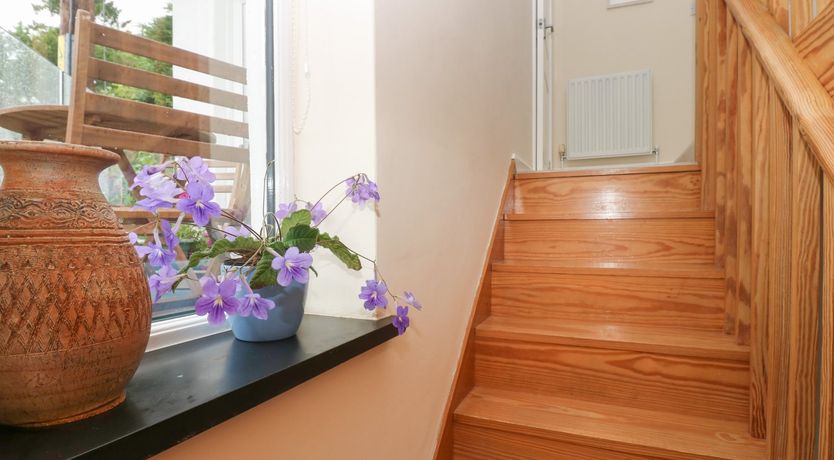 Photo of Little Hamlin