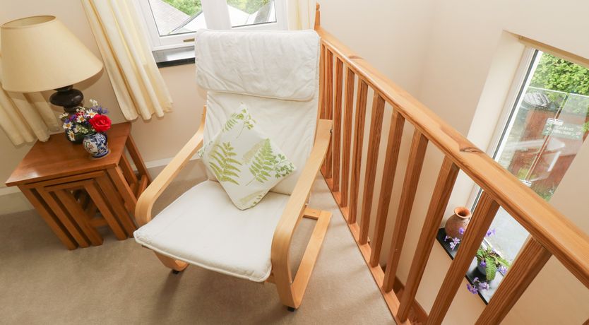 Photo of Little Hamlin