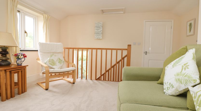 Photo of Little Hamlin