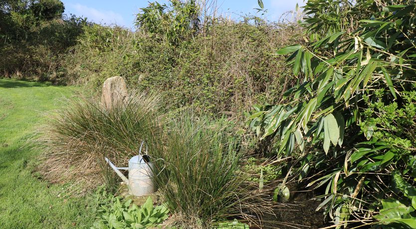 Photo of Boskednan Wartha