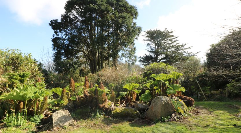 Photo of Boskednan Wartha