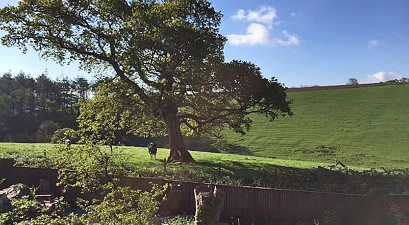 Photo of Stocks Barn
