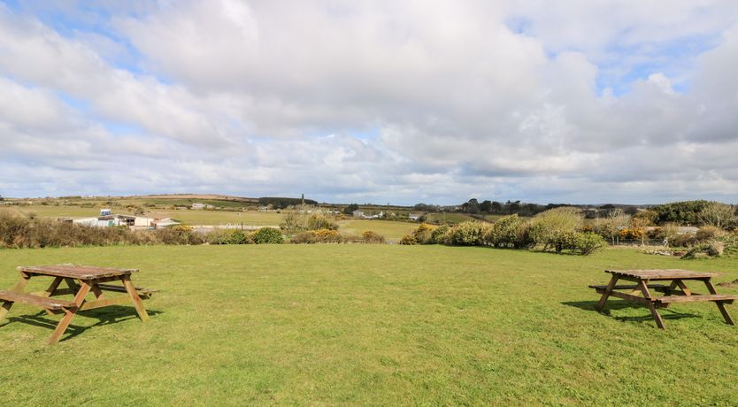 Photo of Mynheer Farm Bowji