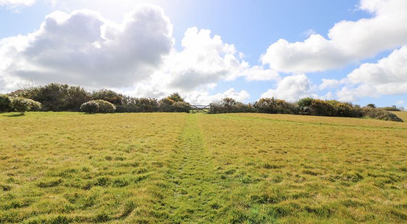 Photo of Mynheer Farm Bowji