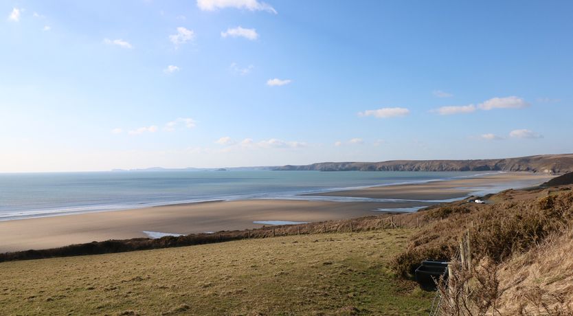 Photo of White Thorns