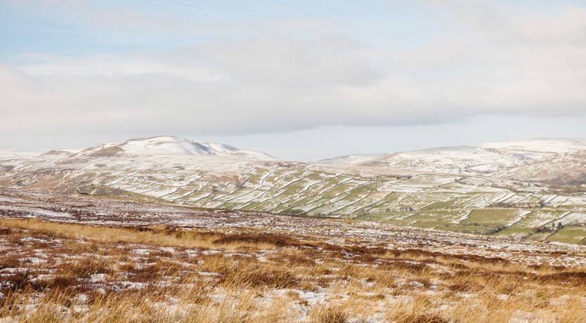 Photo of Olive Cottage