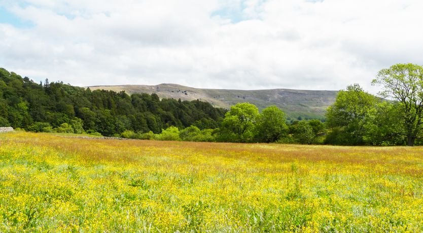 Photo of Olive Cottage