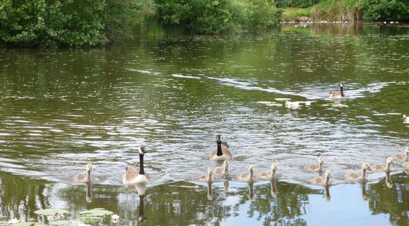Photo of Lakeside Lodge