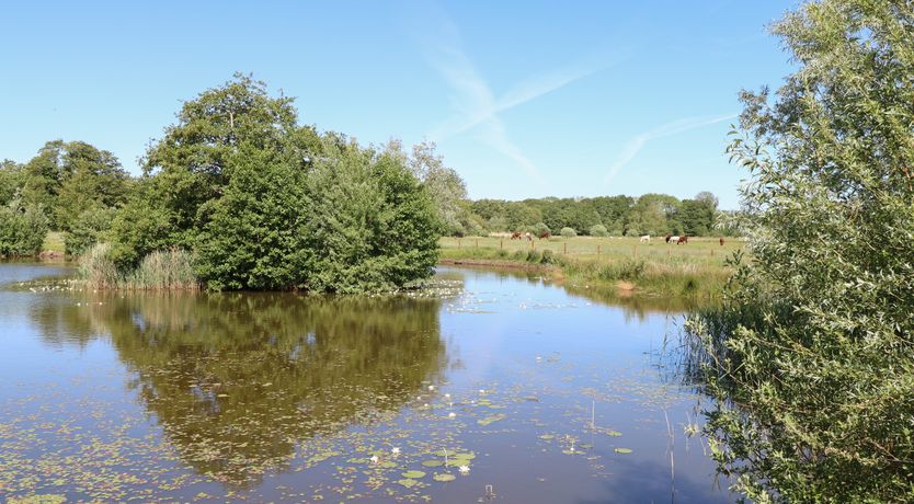 Photo of Lakeside Lodge