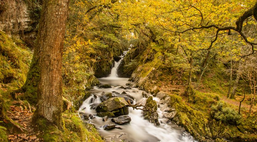 Photo of Moelfre Cottage