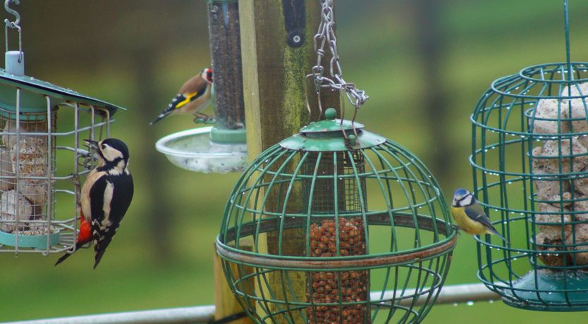 Photo of Beautiful Cotswold View