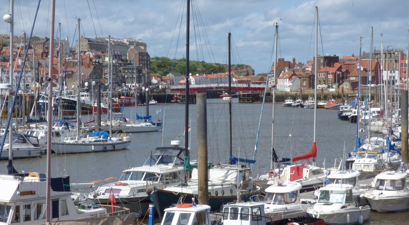 Photo of Raw Pastures