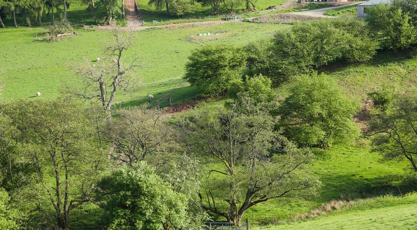 Photo of Rolling Hills