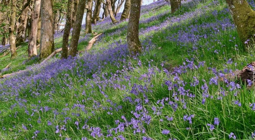 Photo of 4 Bed in Llanrwst