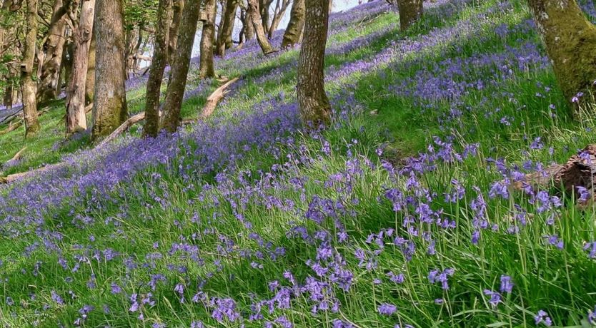 Photo of 4 Bed in Capel Garmon