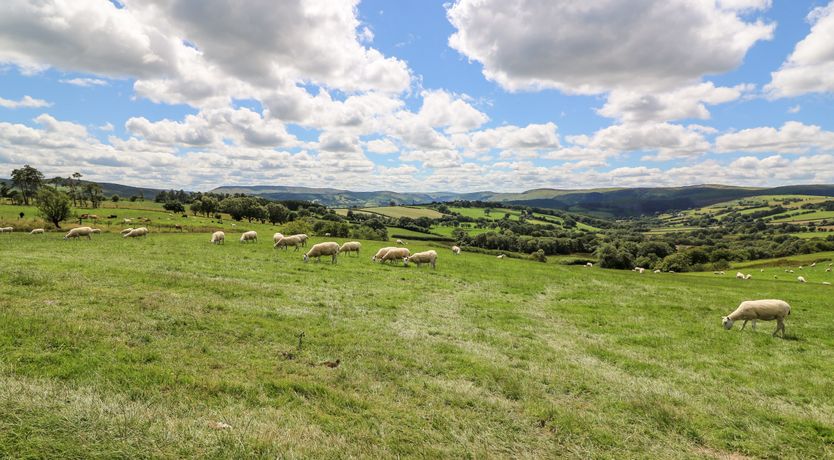 Photo of Meadow View