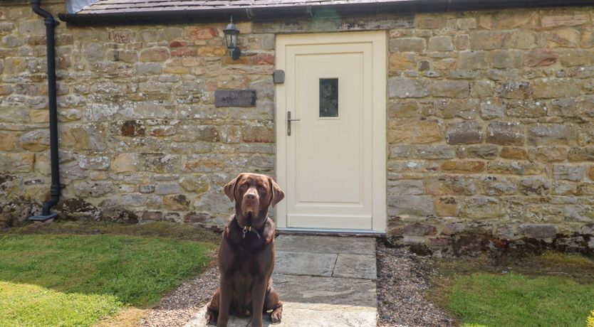 Photo of Shepherds Burn Cottage