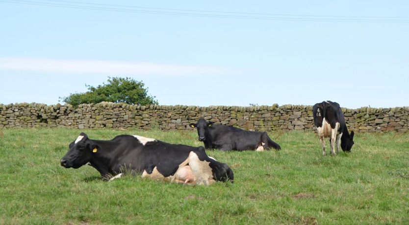 Photo of 2 Bed in Tansley