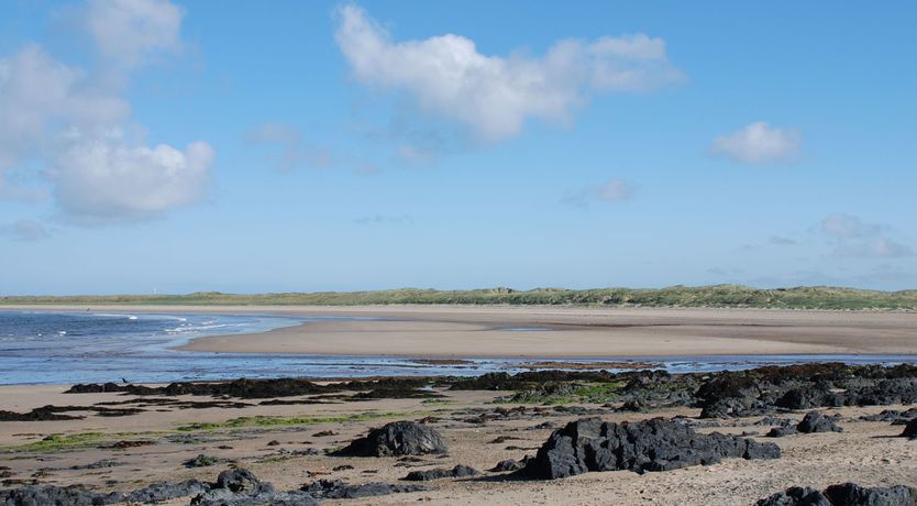 Photo of Maelog, 14 Tides Reach