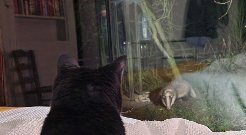 Photo of 1 Bed in Coreley