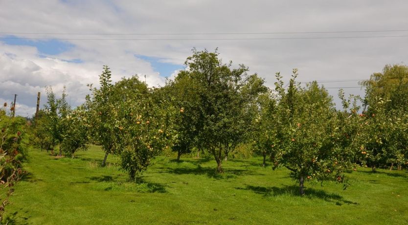 Photo of 1 Bed in Outhill