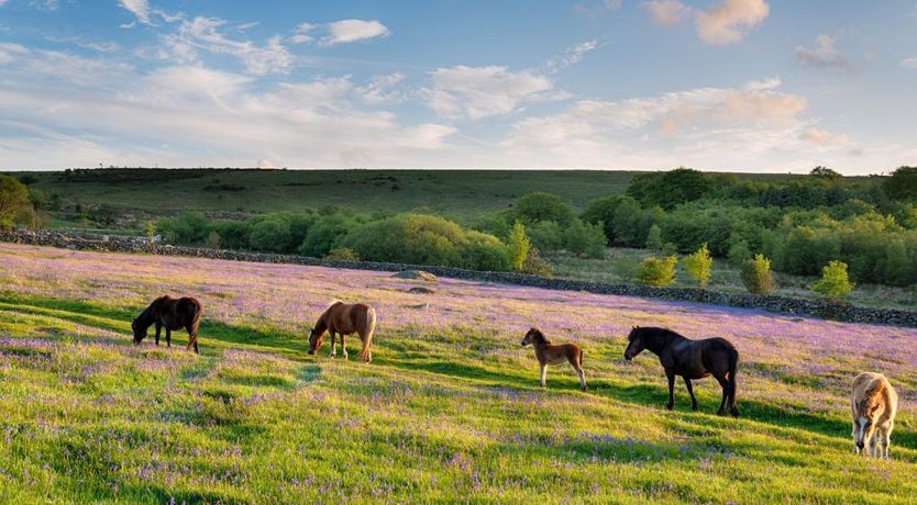 Photo of 2 Bed in South Knighton