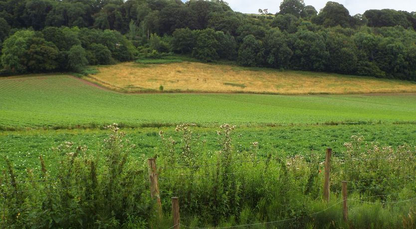 Photo of The Granary