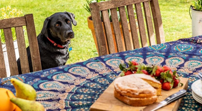 Photo of 5 Bed in Beaulieu