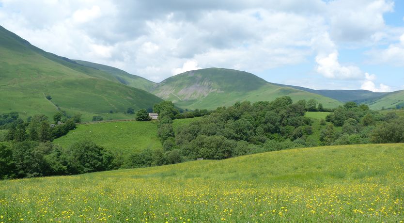 Photo of Knott Lodge