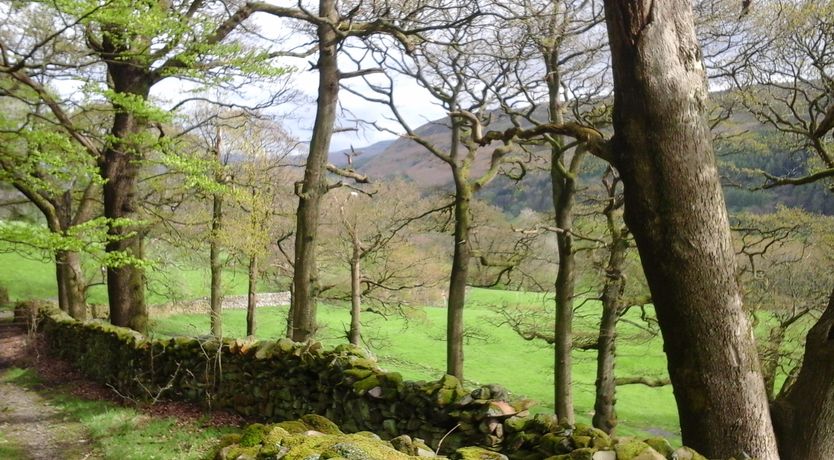 Photo of Knott Lodge