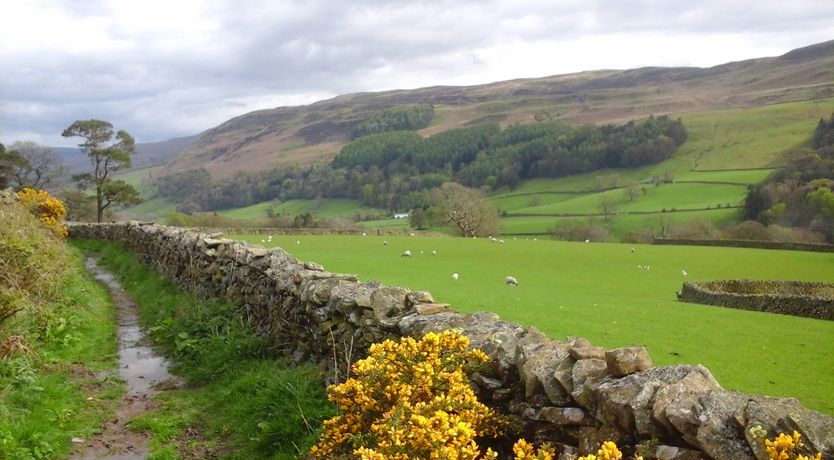 Photo of Knott Lodge