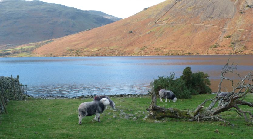 Photo of Harbourside House