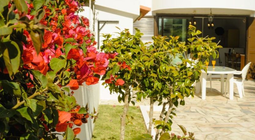 Photo of Studio Loureiro