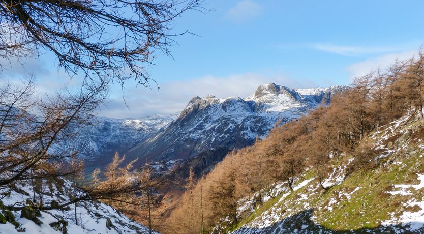 Photo of Rowan - Woodland Cottages