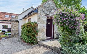 Photo of in Wedmore  (51337)