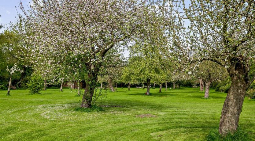 Photo of 1 Bed in Middle Stoughton