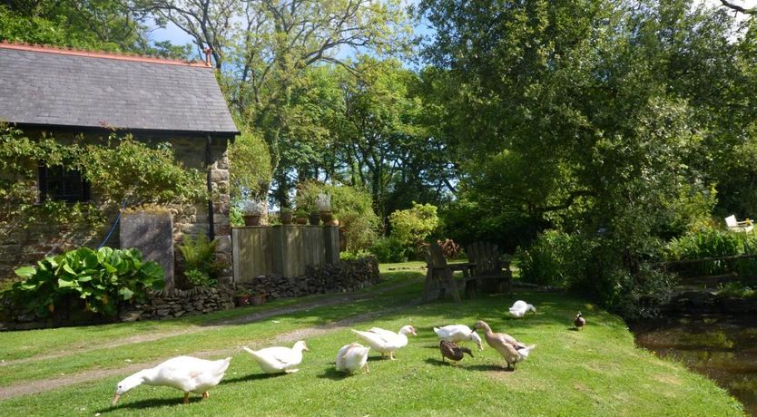 Photo of 1 Bed in Gooseham