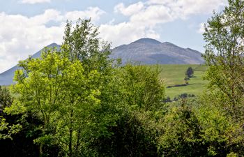 Silver Birch House Holiday Home