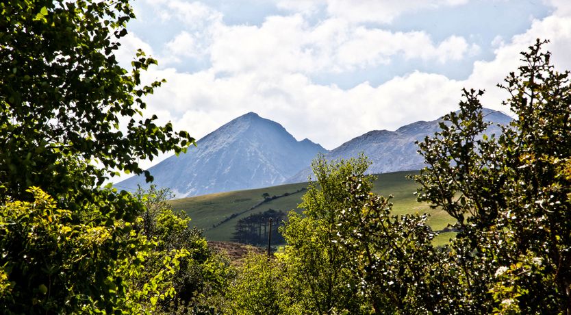 Photo of Silver Birch House