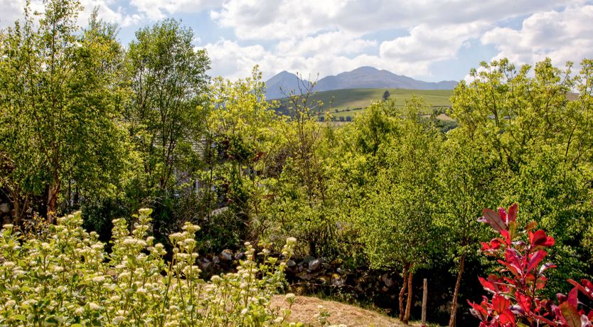 Photo of Silver Birch House