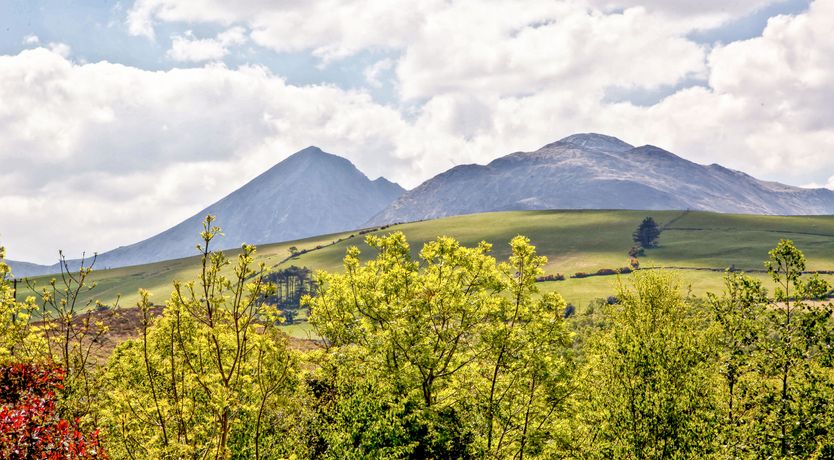 Photo of Silver Birch House